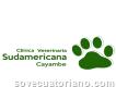 Clínica Veterinaria Sudamericana Cayambe